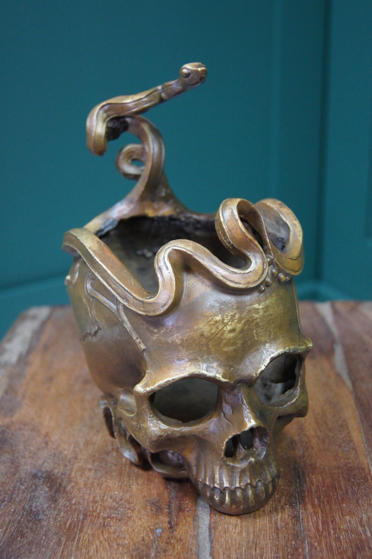 Bronze Skull and Snake Decorative Pot