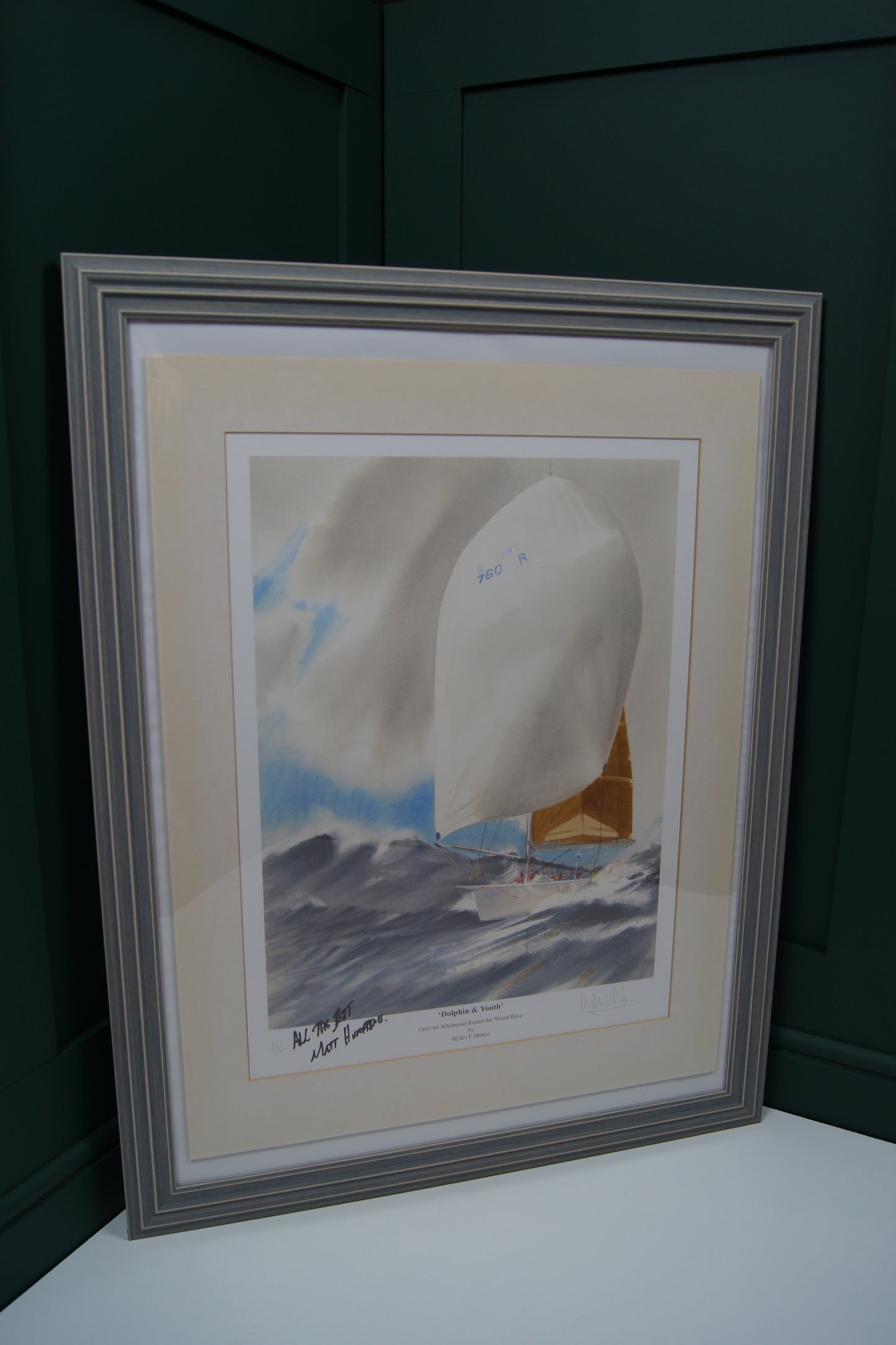 Signed Framed Limited Addition Myles E Mence & Matt Humphries print - Dolphin & Youth