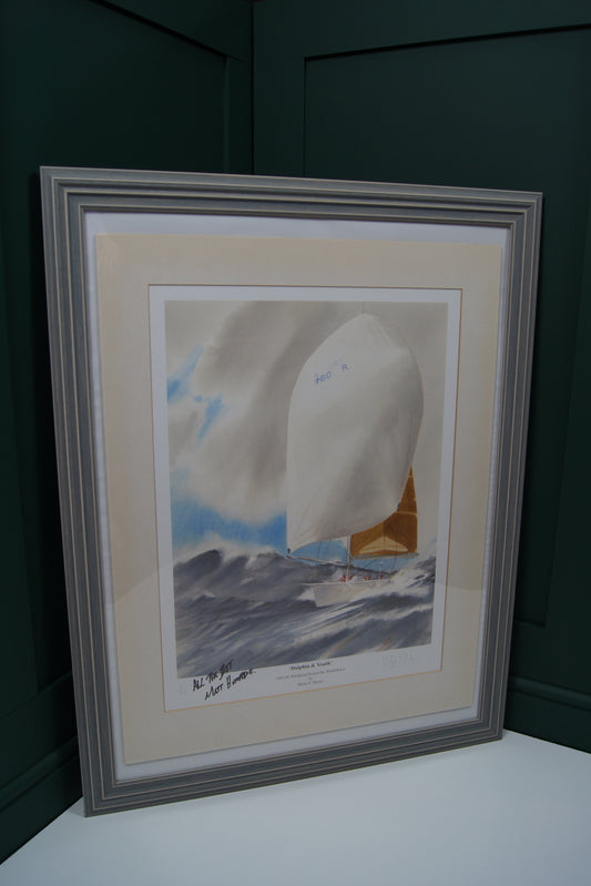 Signed Framed Limited Addition Myles E Mence & Matt Humphries print - Dolphin & Youth