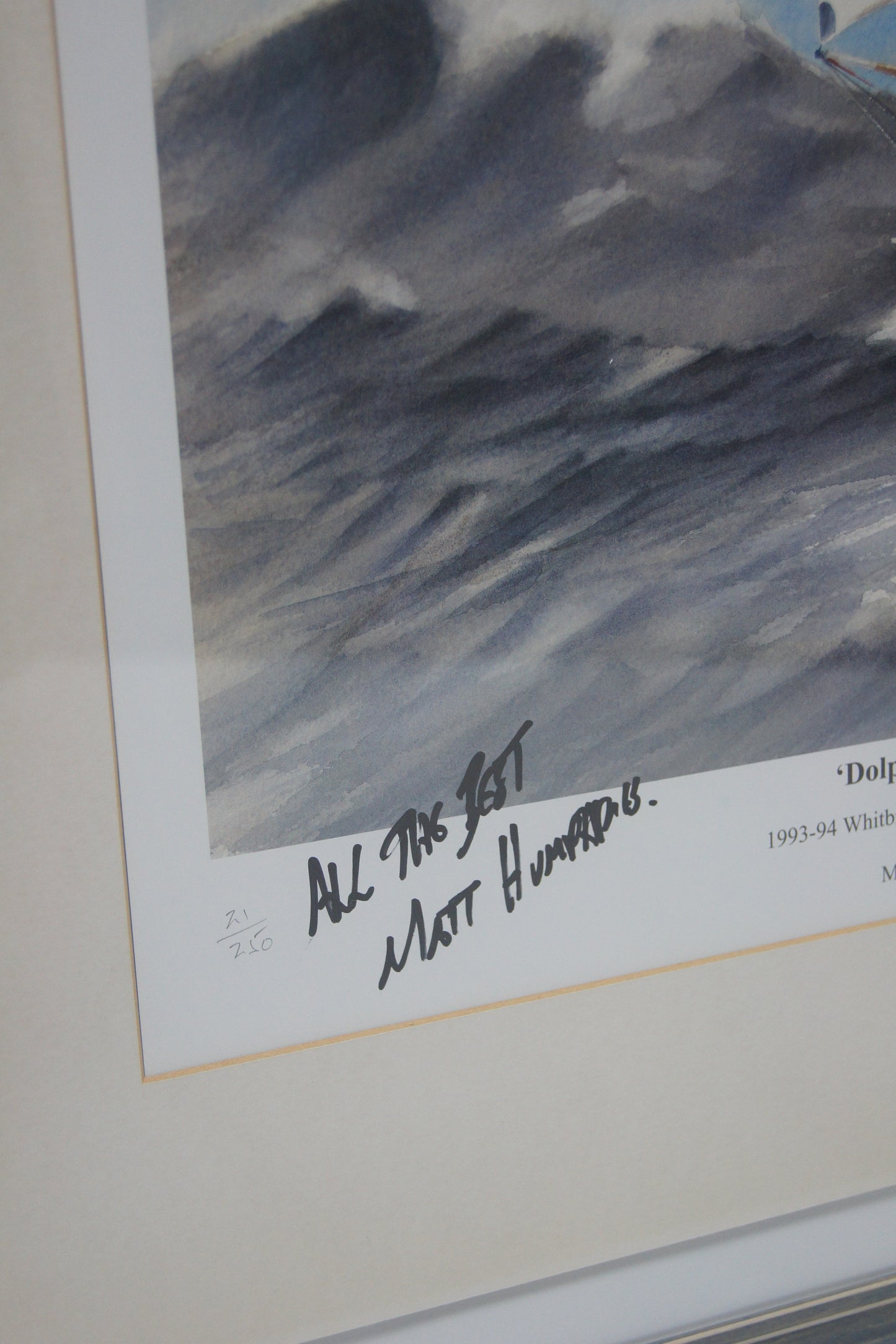 Signed Framed Limited Addition Myles E Mence & Matt Humphries print - Dolphin & Youth