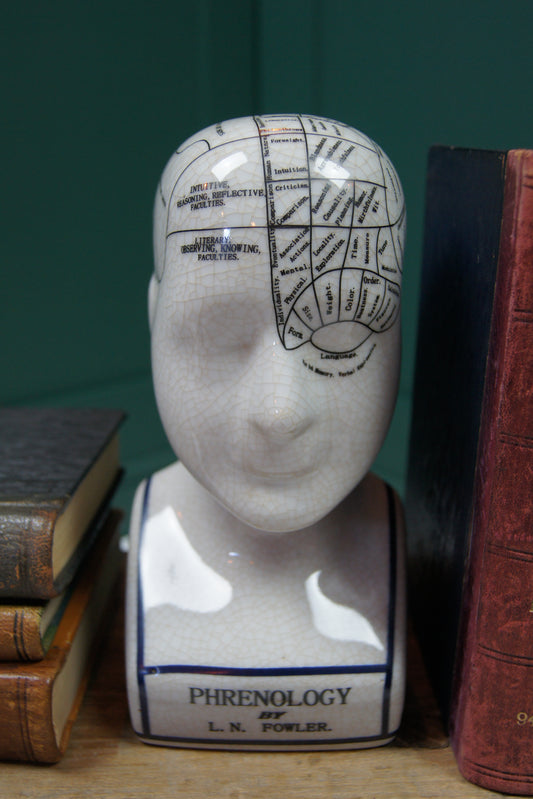 Ceramic Phrenology Head Ornament