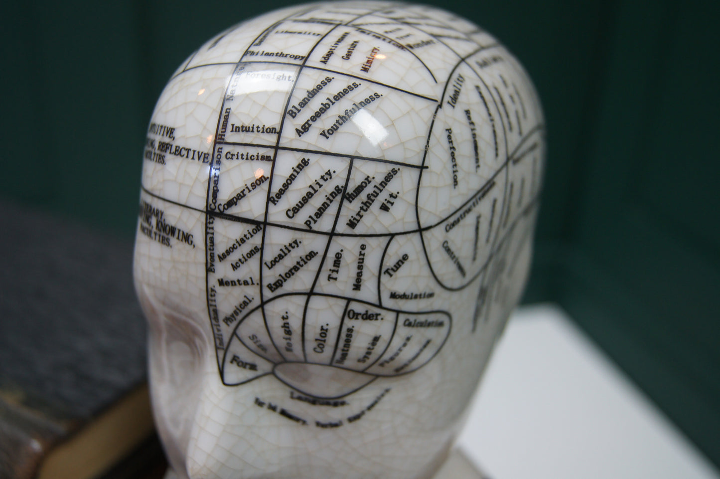 Ceramic Phrenology Head Ornament