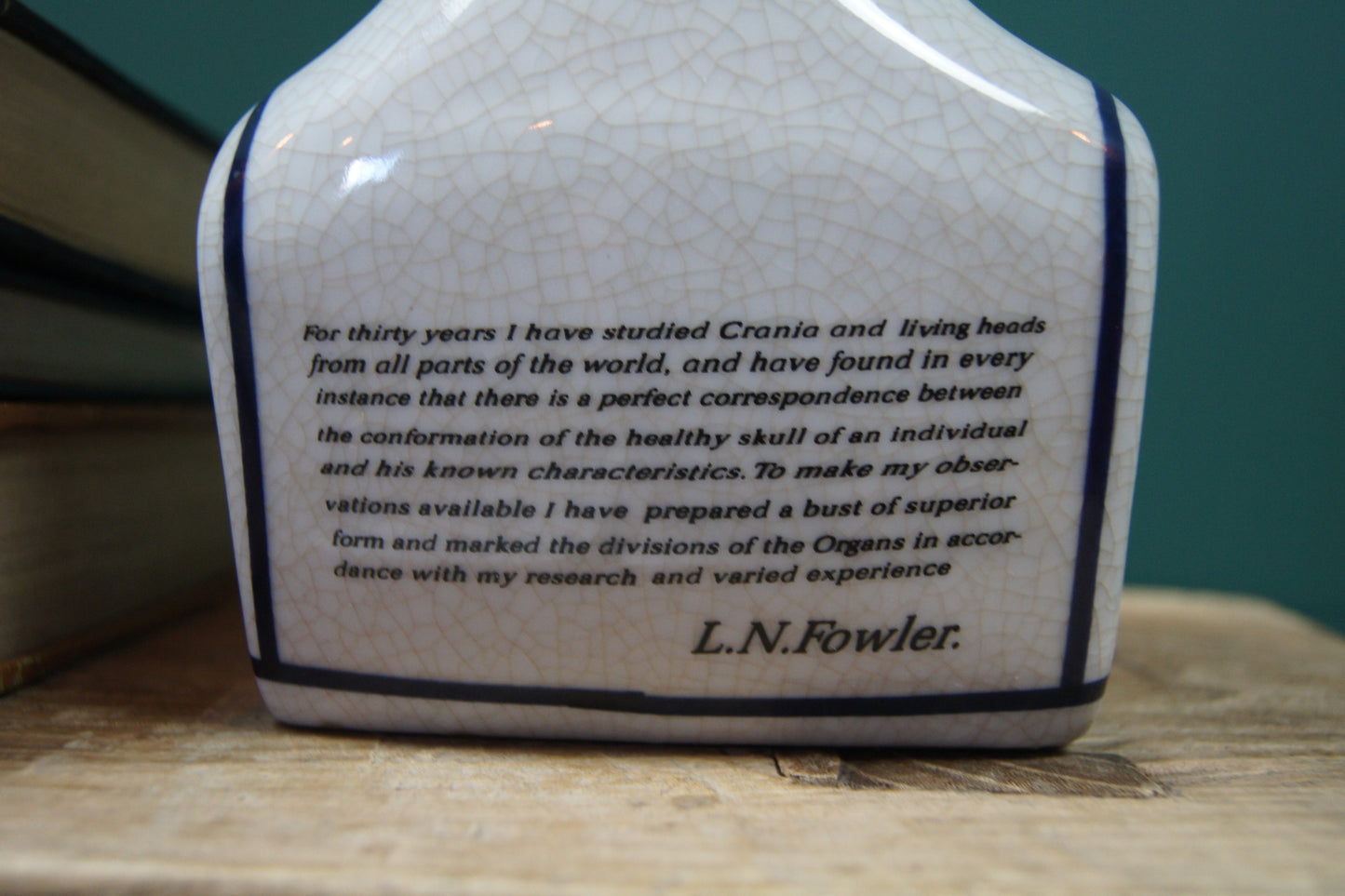 Ceramic Phrenology Head Ornament