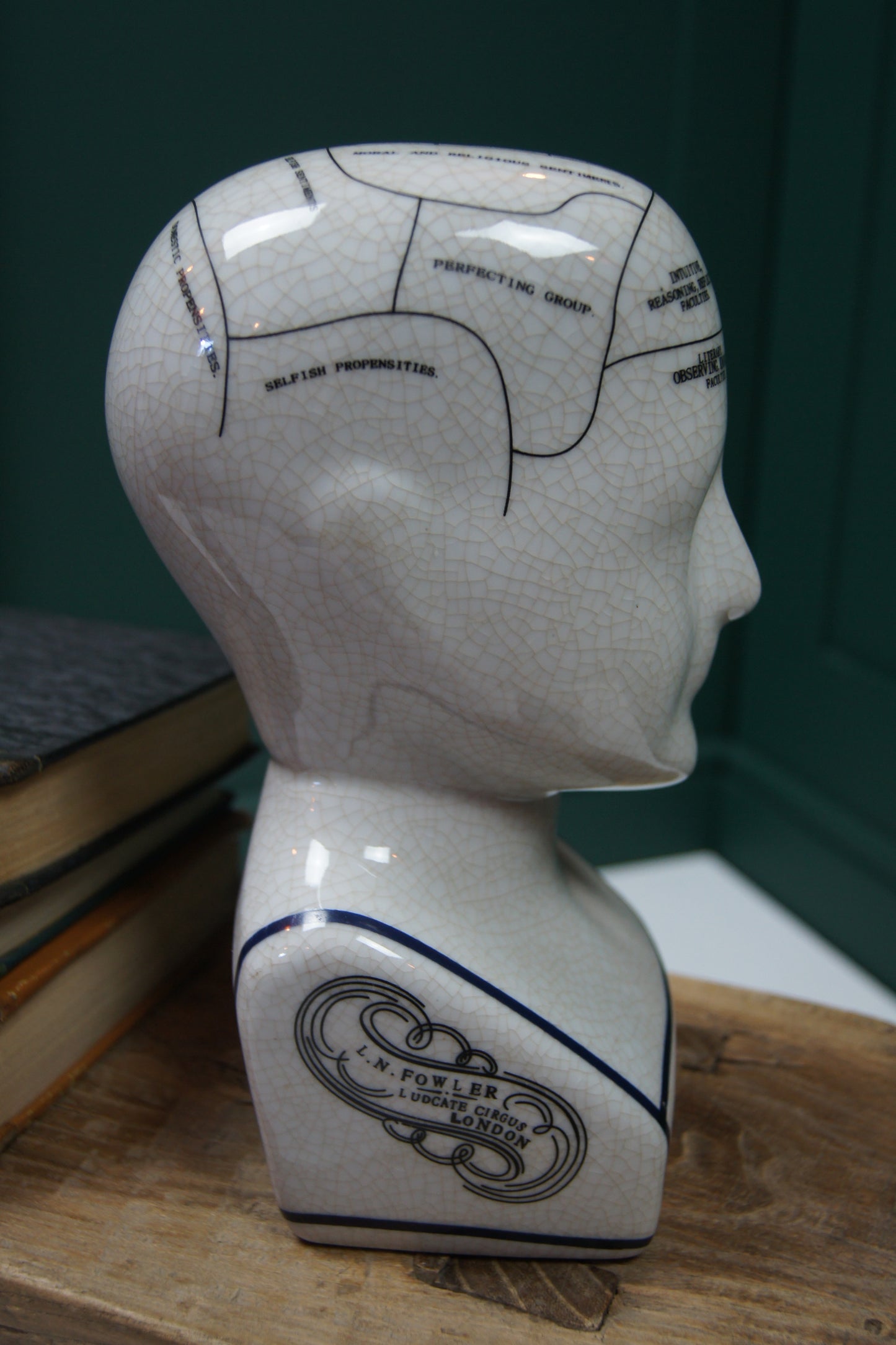 Ceramic Phrenology Head Ornament