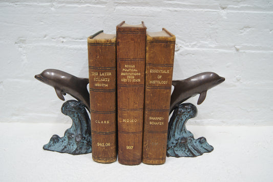 Pair of Bronze Dolphin Bookends