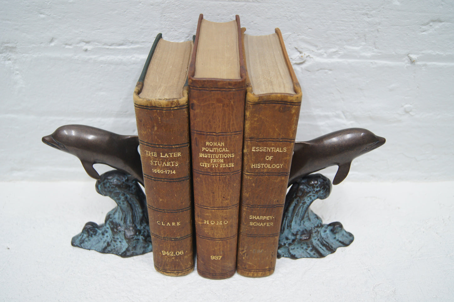 Pair of Bronze Dolphin Bookends
