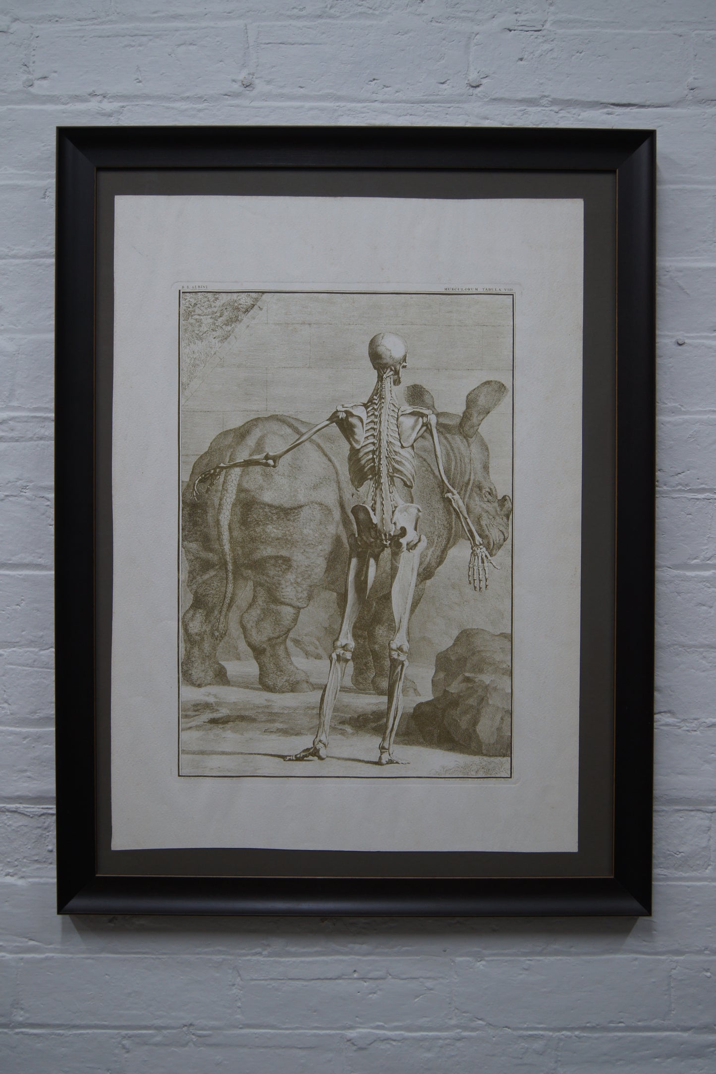 Framed Musculorum Tabula VIII Print